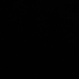 Meet your Posher, Shan